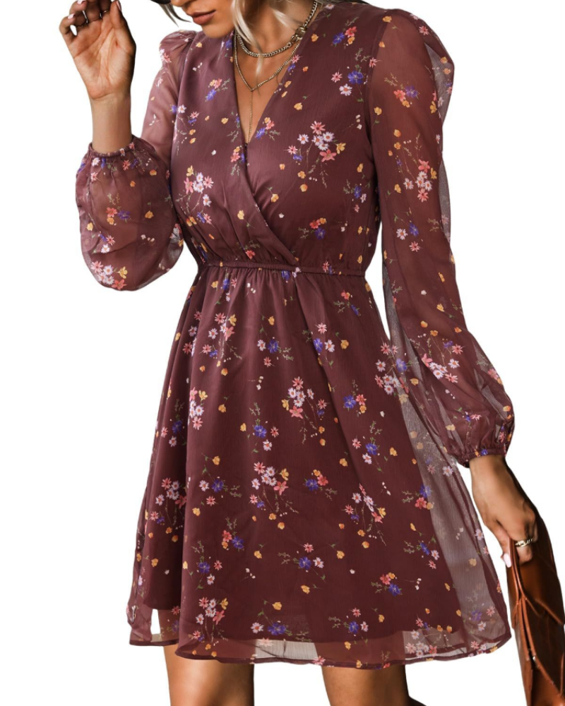 Serena Women's Mini Dress – Chiffon, V-Neck, Sheer Sleeves & Elastic Waist